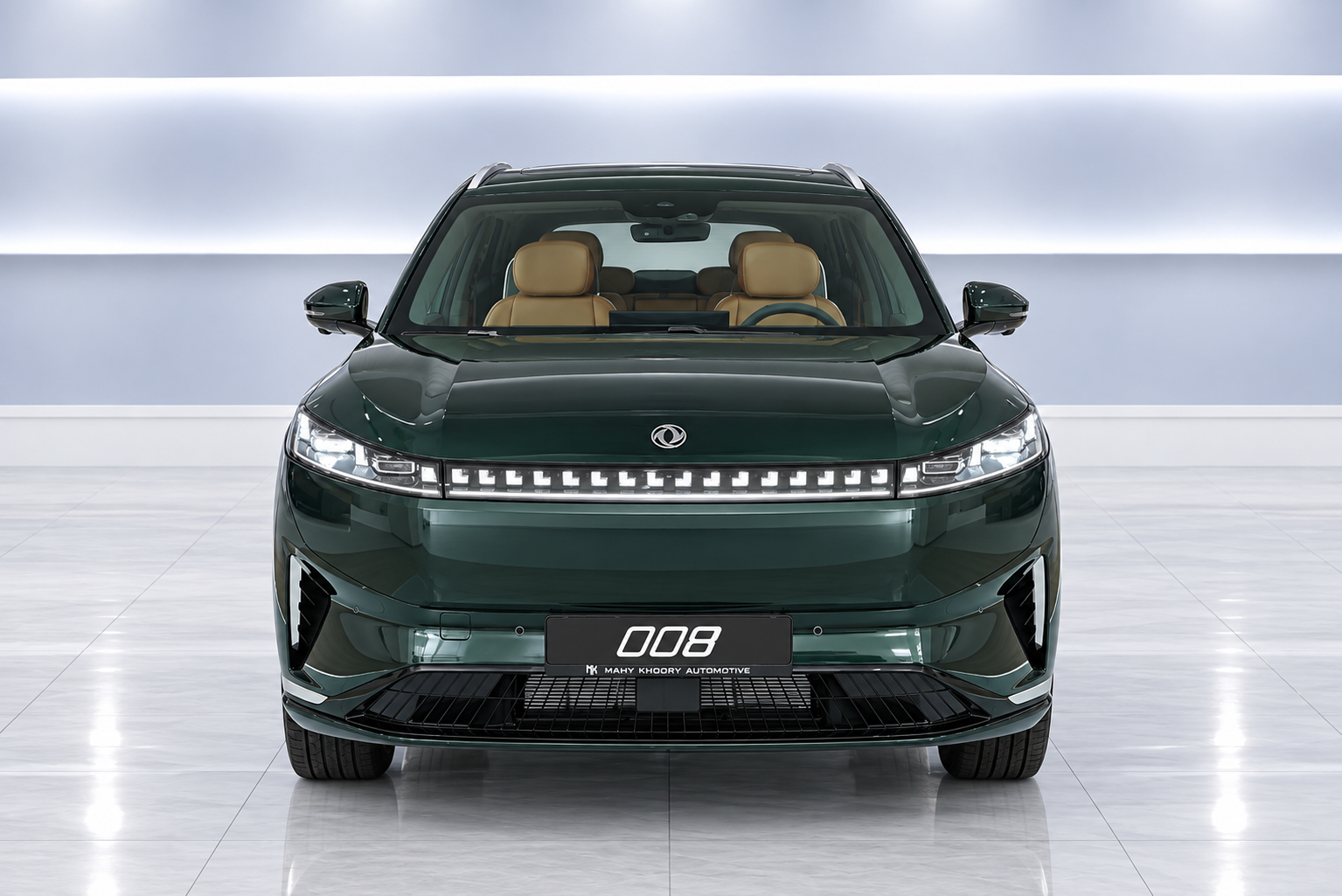 Dongfeng 008 photo 2