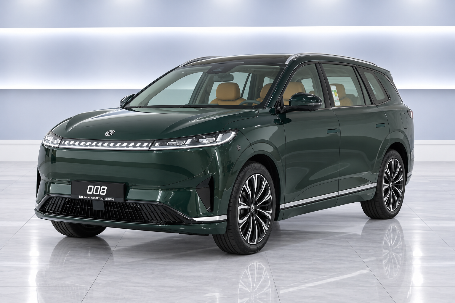 Dongfeng 008 photo 3